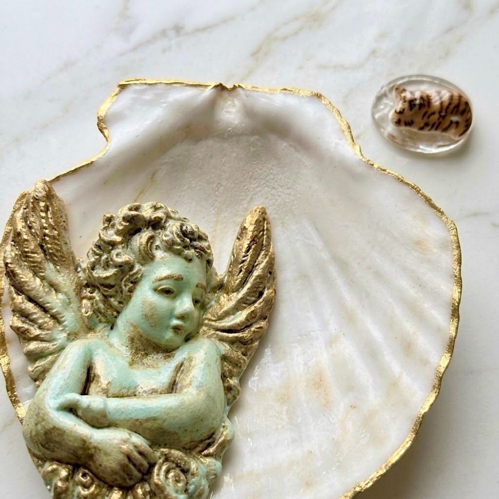 PG Angel in a shell