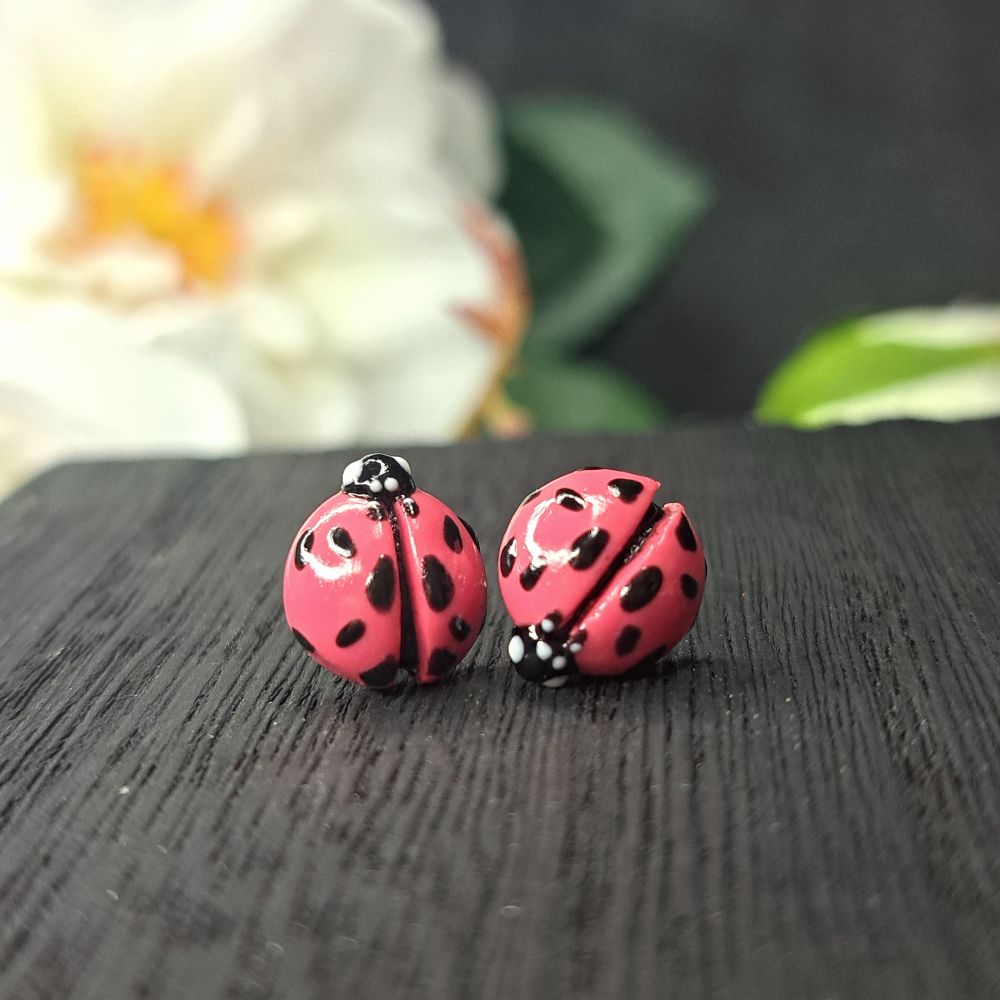 Ladybugs Earrings - Studs — photo 3