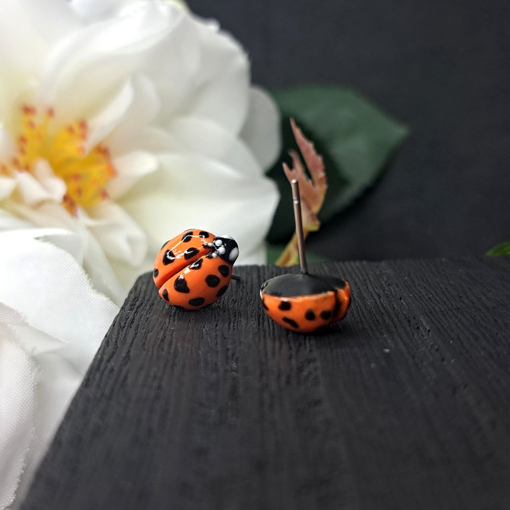 Ladybugs Earrings - Studs — photo 4