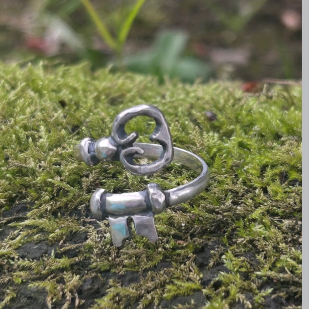 Tarob Silver Key Ring — photo 4