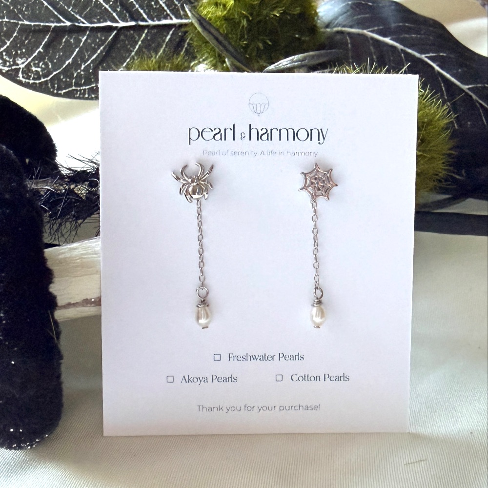Spider & Web Earrings
