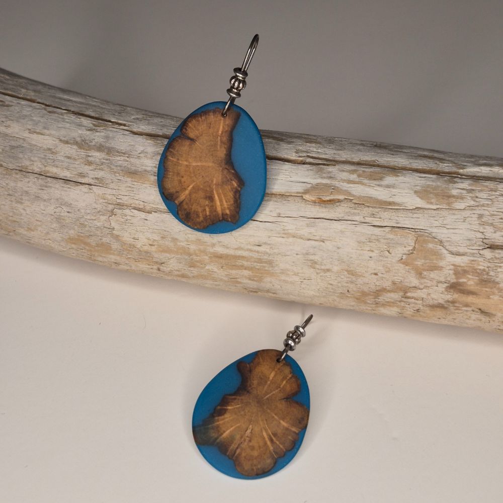 DW & Resin Earrings
