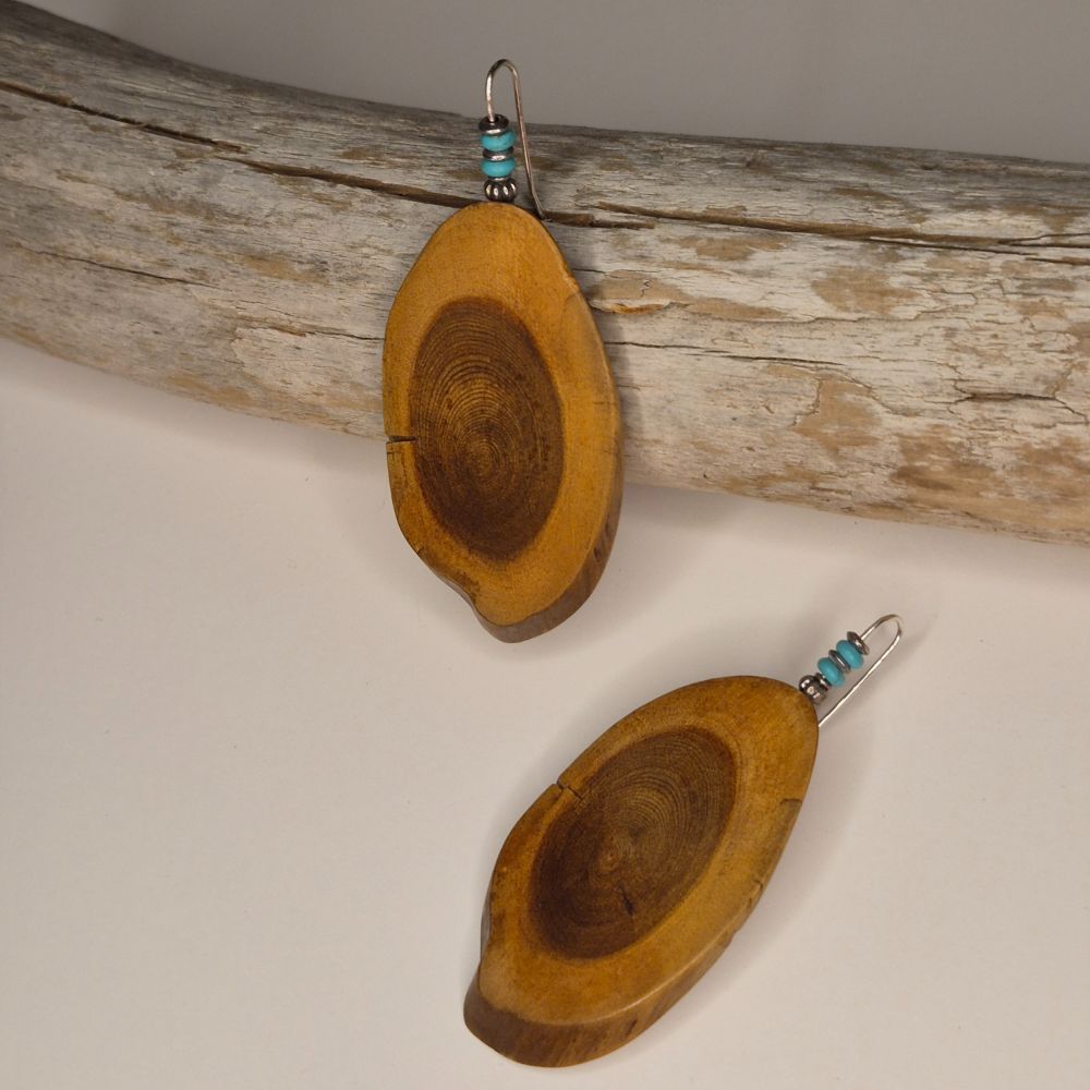 DW & Turquoise Earrings