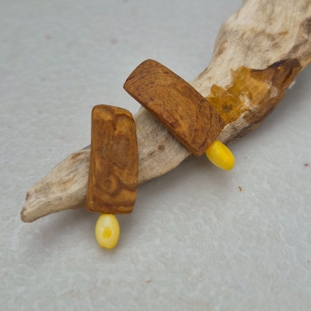DW & shell earrings