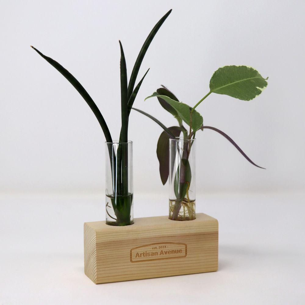 Artisan Avenue Propagation Plant Holders