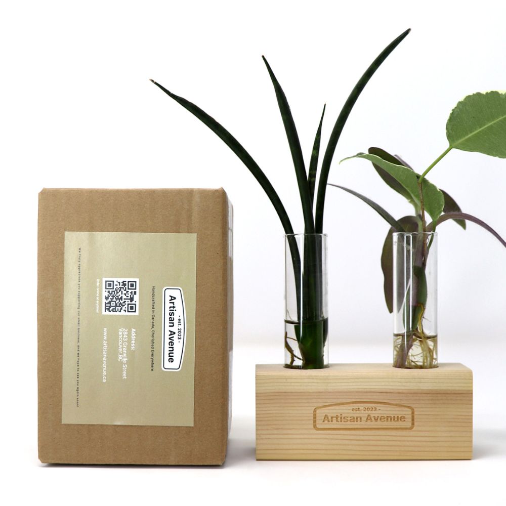 Artisan Avenue Propagation Plant Holders — photo 4