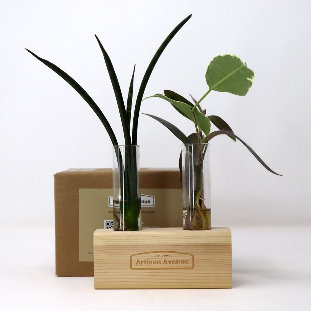 Artisan Avenue Propagation Plant Holders — photo 5