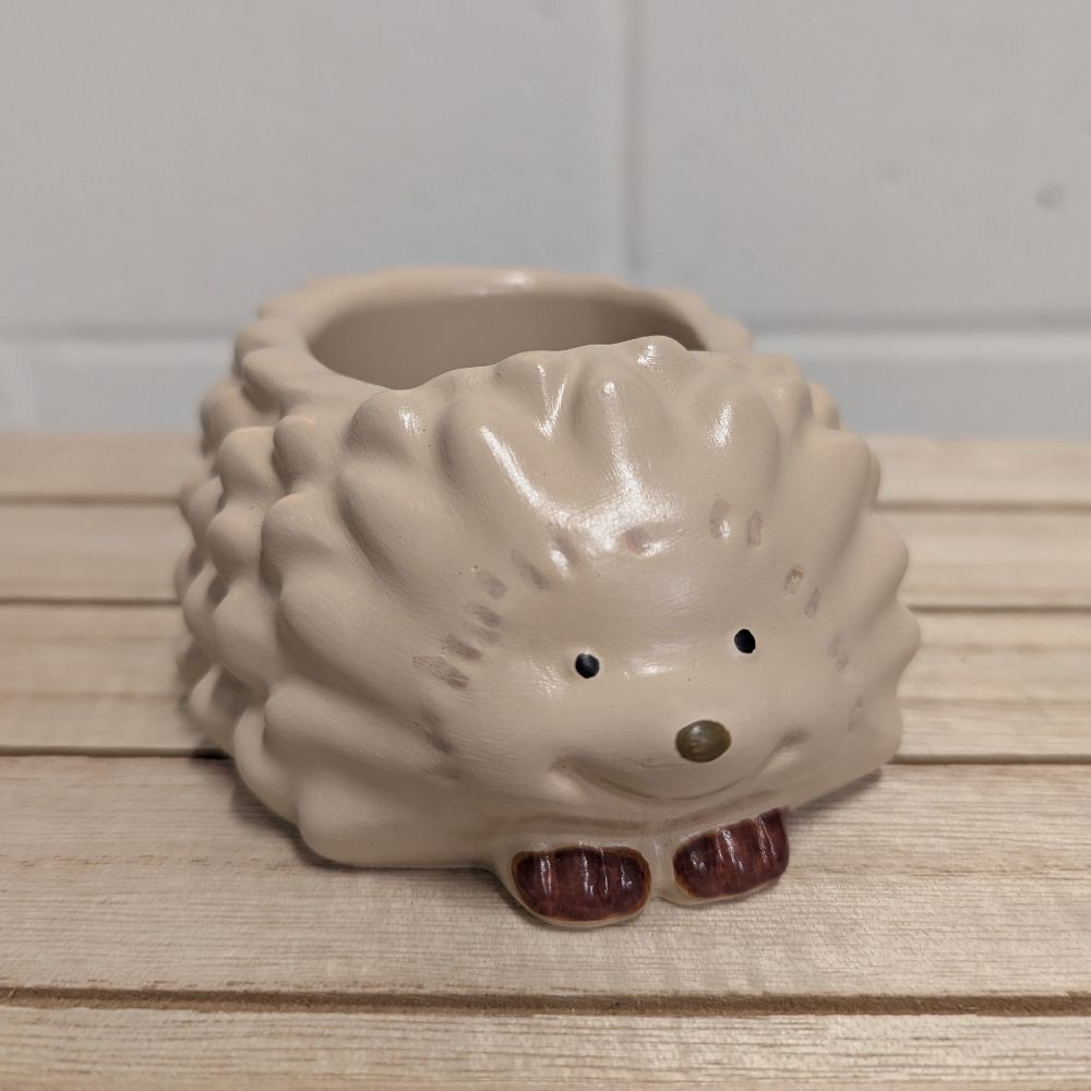 POHedgehog