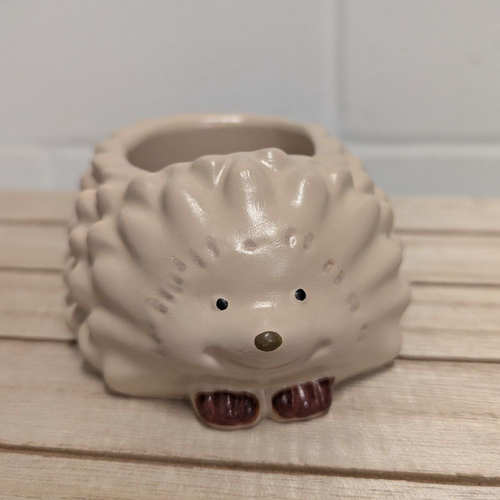 POHedgehog — photo 2
