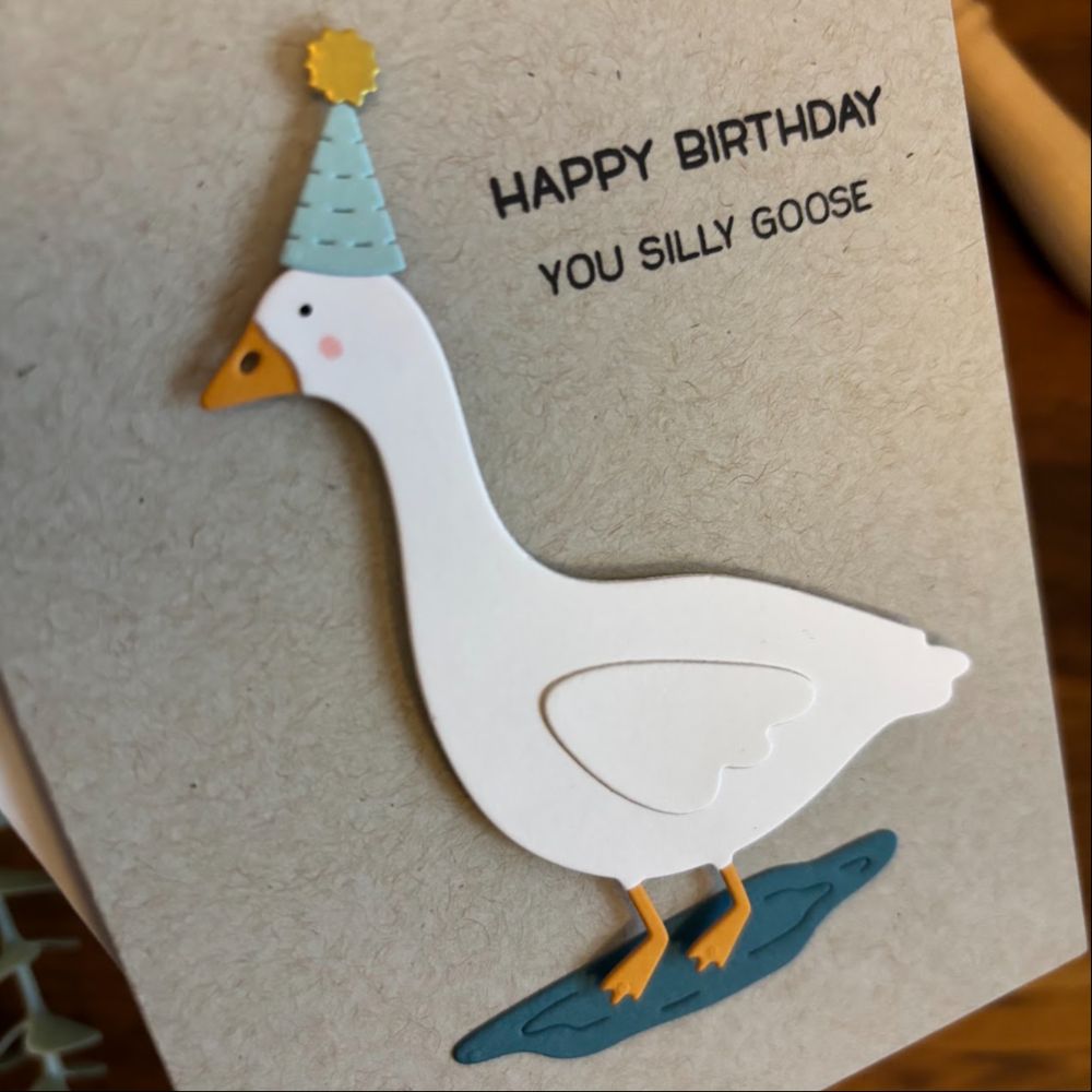 Silly Goose — photo 2