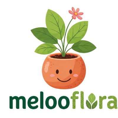 Melooflora