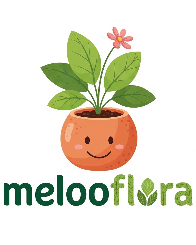 Melooflora